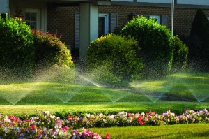 lawn irrigation